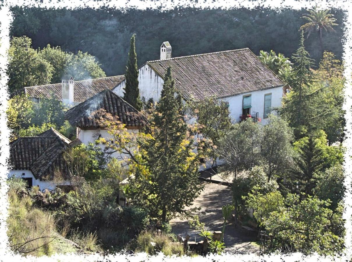 Cortijo Casas Viejas Villa Málaga Kültér fotó